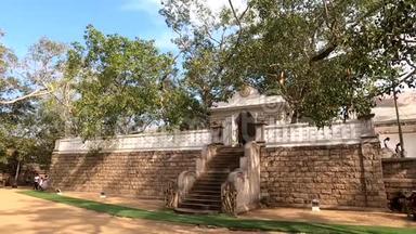 观圣斯里摩诃<strong>菩提</strong>树.. Anuradhapura，斯里兰卡